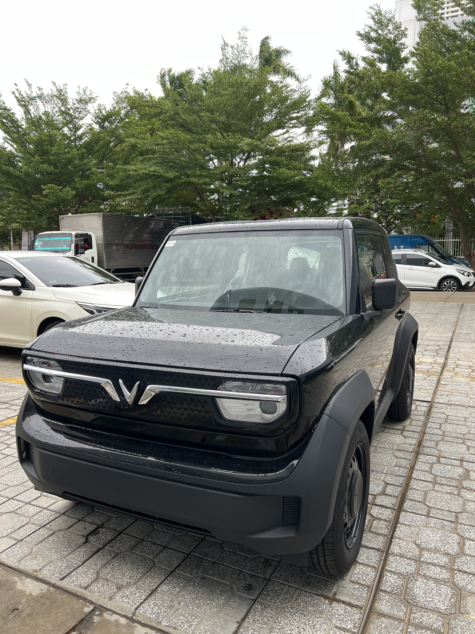 VF 3 Màu Đen