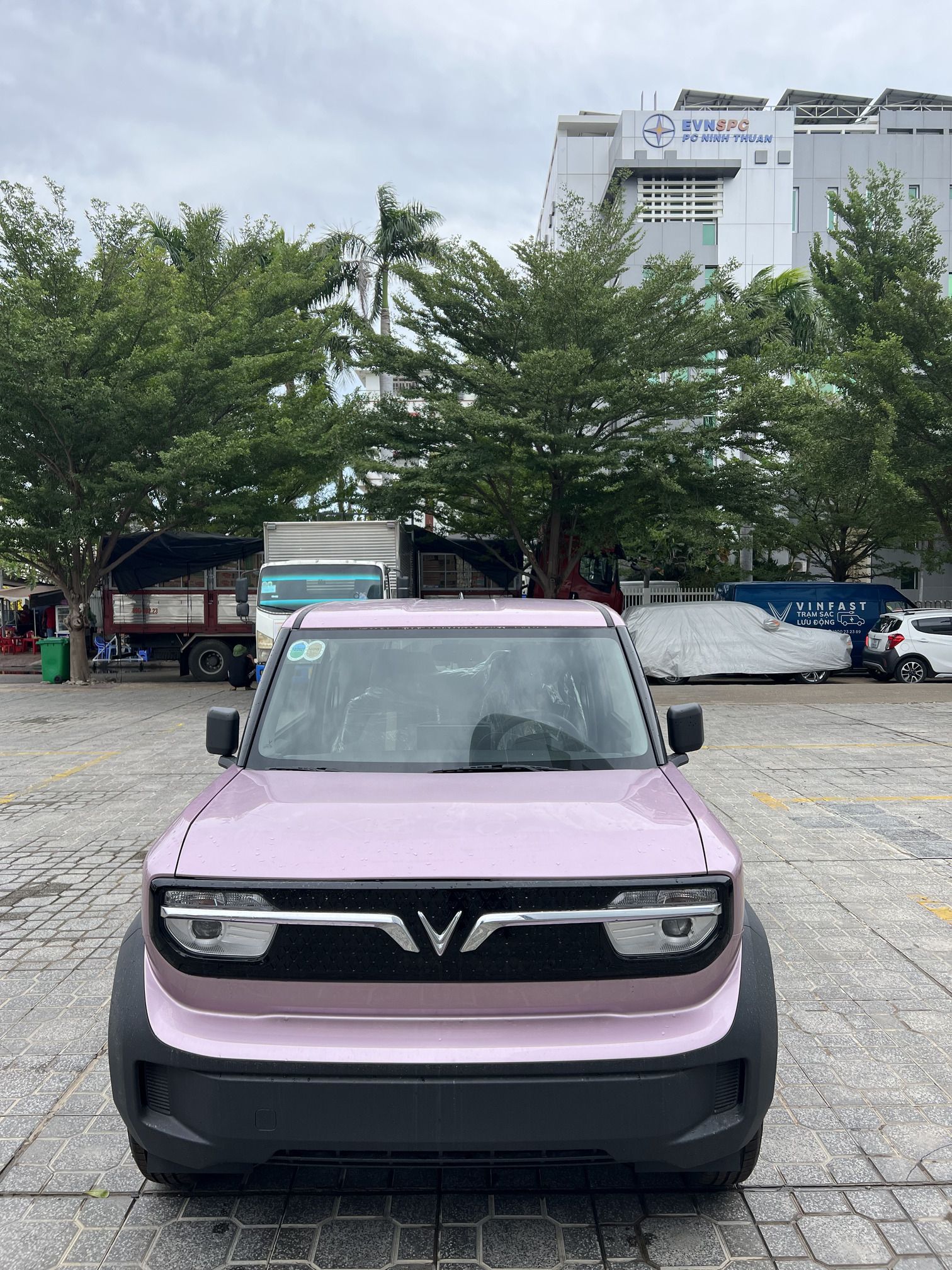 VF 3 Màu Hồng Tím